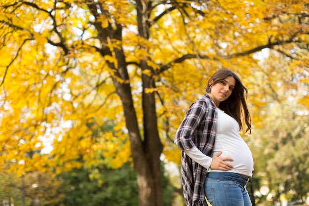 Jonge zwangere vrouw in het herfstpark