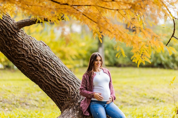 Jonge zwangere vrouw in het herfstpark