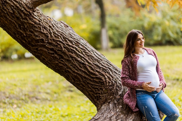 Jonge zwangere vrouw in het herfstpark