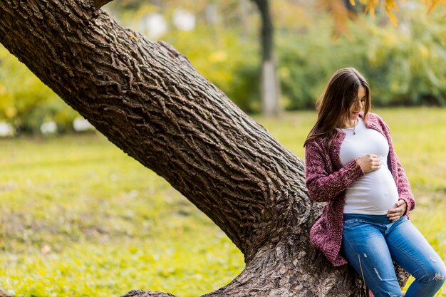 Jonge zwangere vrouw in het herfstpark