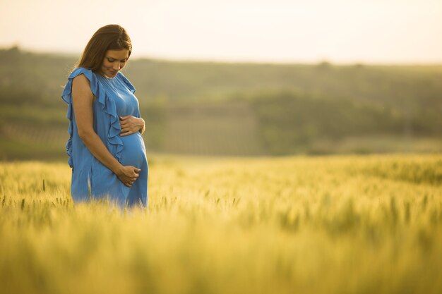 Jonge zwangere vrouw in het veld