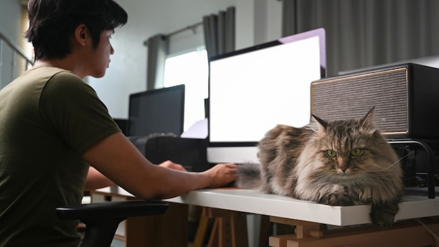 Jongeman freelancer die met de computer werkt en met zijn kat in de woonkamer zit.