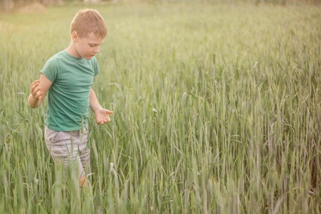 Jongen 810 in groen T-shirt gaat in groen tarweveld tussen aartjes in de zon