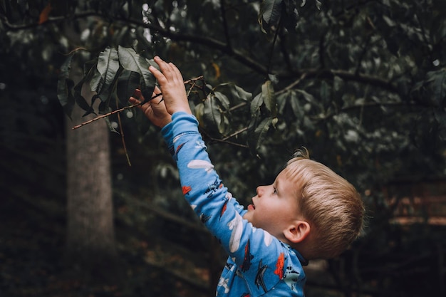 Jongen die een plant buiten houdt
