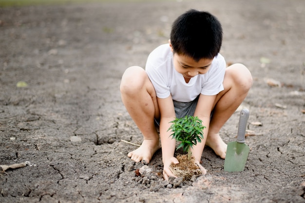 Jongen die op barstgrond plant