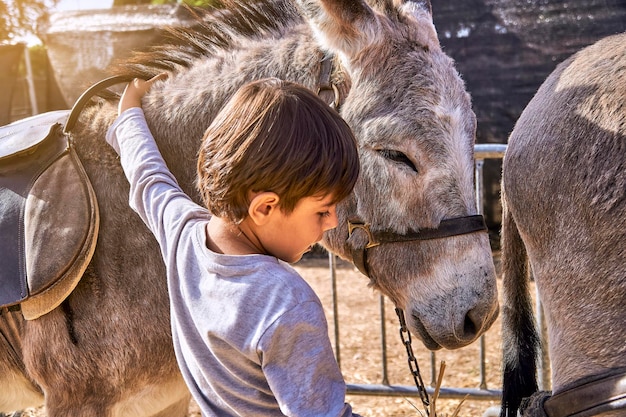 Jongen die zijn ezel aait op een boerderij