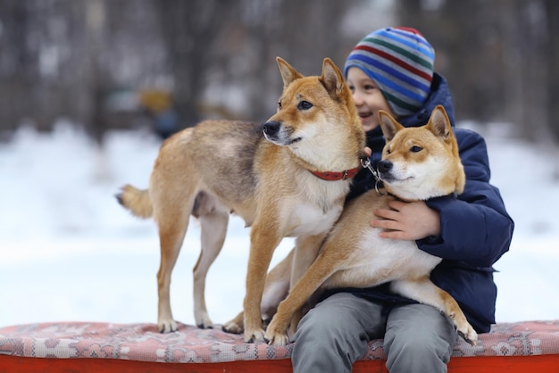 jongen en een schattig hondenconcept van vriendschap