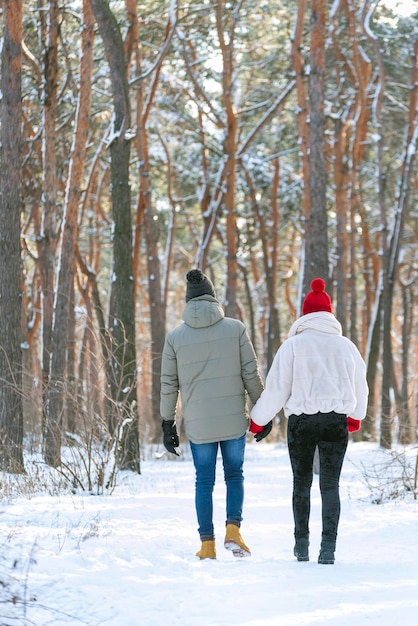 Jongen en meisje houden elkaars hand vast en lopen in het besneeuwde park Achteraanzicht Verticaal frame