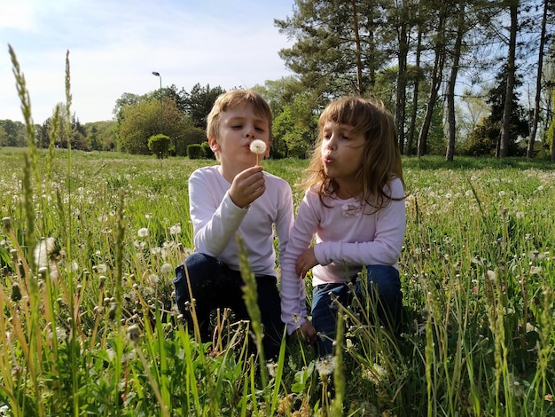 Foto jongen en meisje op het gras schattige kinderen plukken weidebloemen en blazen op paardenbloemzaden