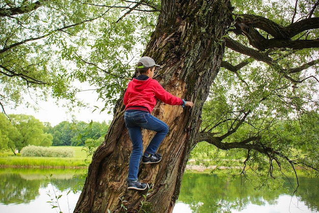 Jongen in jeans, jasje en pet die dikke boom met groen gebladerte op achtergrond van vijver beklimmen