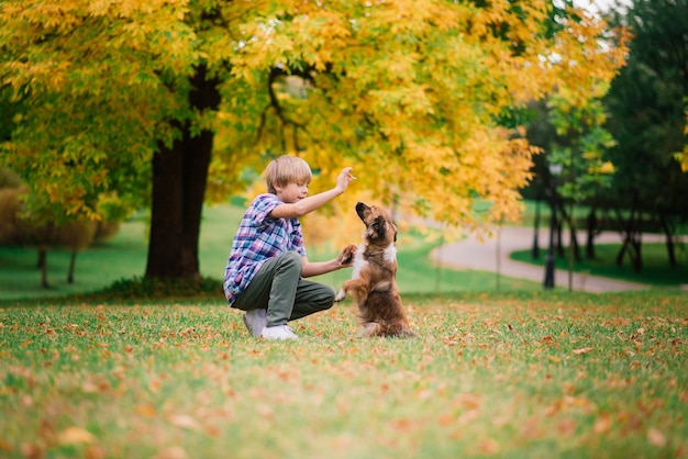 Jongen knuffelen een hond en plyaing met in de herfst stadspark