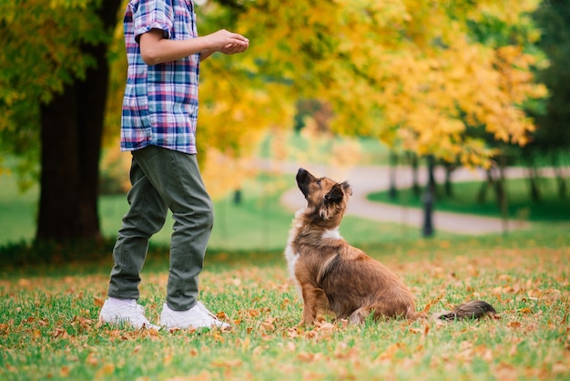 Jongen knuffelen een hond en plyaing met in de herfst, stadspark