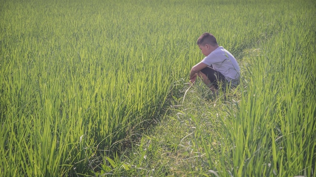 Jongen kruipt op het grasveld.