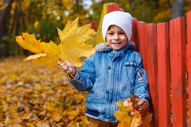 Jongen lacht en speelt met een boeket gele bladeren Klein kind heeft plezier in het herfstpark