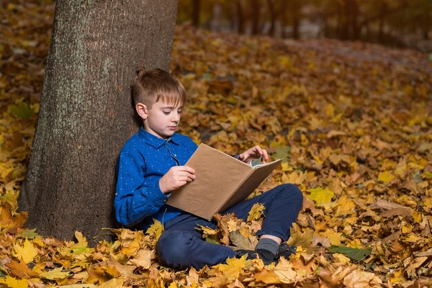 Jongen leest boeken in herfstbos zittend op herfstbladeren. boekenliefhebber kind.