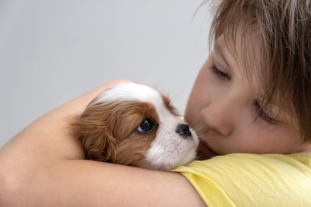 Jongen met een puppy Cavalier King Charles Spaniel Blenheim portret van schattige hond puppy Copy space