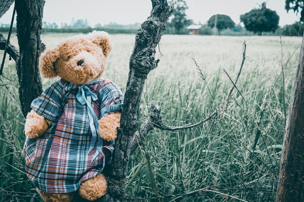 Foto jongen speelgoed op boomstam