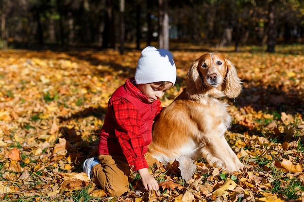 Jongen speelt met hond Klein kind heeft plezier in het herfstpark Vriendschap tussen kinderen en huisdieren