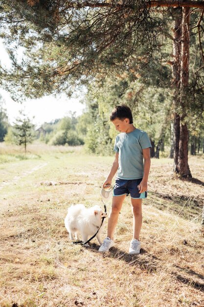 Jongen spelen met binnenlandse puppy hondje in park in de buitenlucht Witte Pommeren puppy kind wandelen en opleiding hond aangelijnd in het bos in de zomer