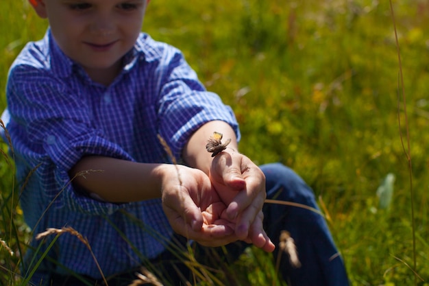 Jongen ving de vlinder in het gras. Jonge entomologen onderzoeken de natuur