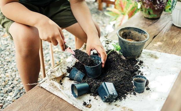 Jongenshanden die grond in potten scheppen om planten voor te bereiden op het planten van vrijetijdsactiviteitenconcept