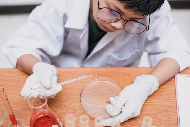 Jongensstudent die een pipet vasthoudt en een monster of rode vloeistof in een petrischaal laat vallen