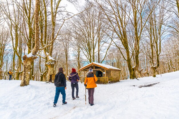 Jongeren die het met sneeuw bedekte natuurpark Oianleku in de stad Oiartzun bezoeken, naast Penas de Aya in de winter, Gipuzkoa. Baskenland