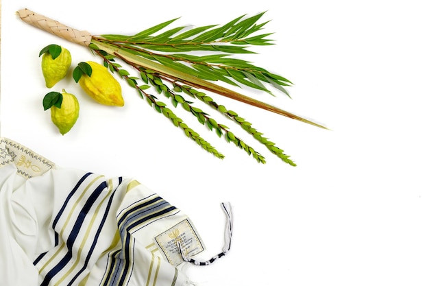 Joodse feestdag van soekot traditionele symbolen de vier soorten etrog citron lulav palmtak hadas mirte arava wilg