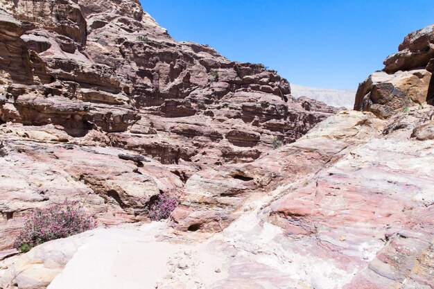 Jordaanse woestijn in Petra