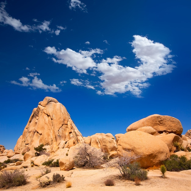 Joshua Tree National Park Intersection rock California