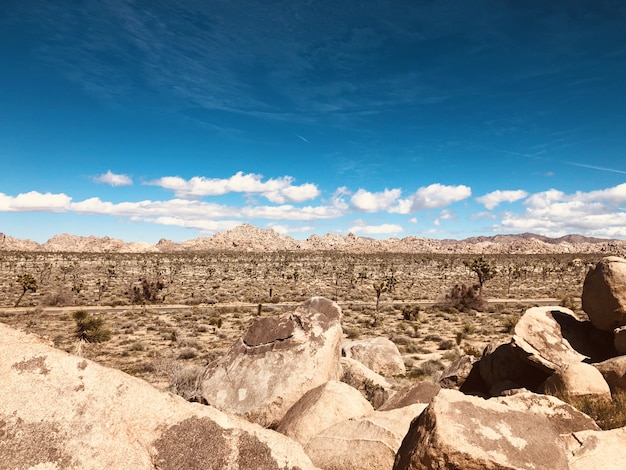 Joshua tree national park