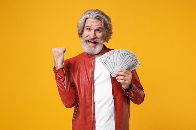 Joyful elderly gray-haired bearded man in leather jacket isolated on yellow background. people lifestyle concept. mock up copy space. hold fan of cash money in dollar banknotes, doing winner gesture