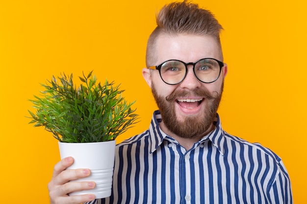 Joyful funny young man holding a pot with plants on a yellow wall