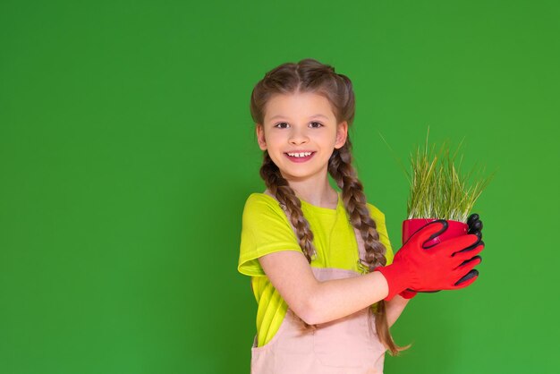 The joyful kid holds a flower pot with sprouted wheat and smiles House plants Care of indoor plants