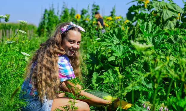 Joyful process cheerful retro child hold big marrow squash small girl farming in summer farm happy childrens day childhood happiness portrait of happy kid with vegetable marrow