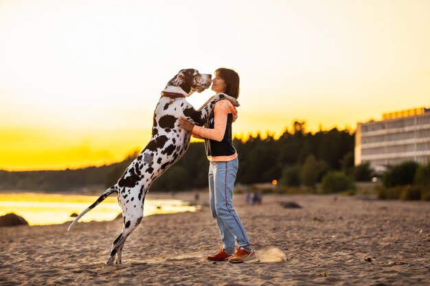 Joyful woman spending time running with dogs on sandy beach