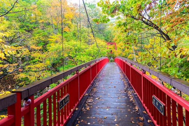 Jozankei Futami Hangbrug en herfstbos