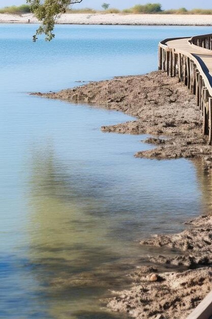 Foto jubail mangrove park in abu dhabi