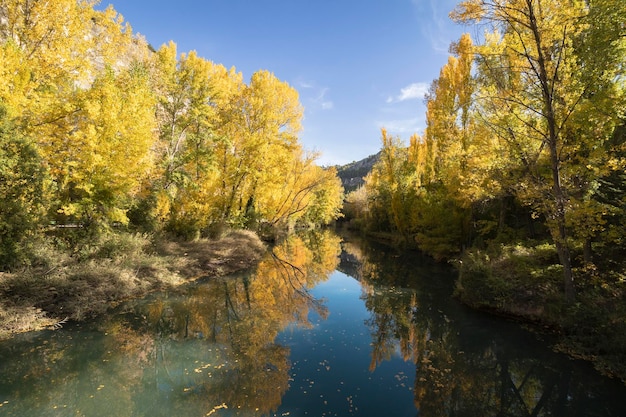 스페인의 카스티야 라만차(Castilla La Mancha) 쿠엥카(Cuenca)의 가을 주카(Jucar) 강. 나무가 가득한 가을 풍경