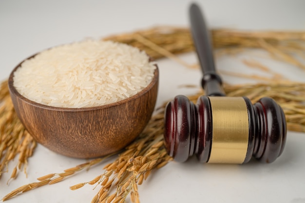 Photo judge gavel hammer with good grain rice from agriculture farm. law and justice court concept.