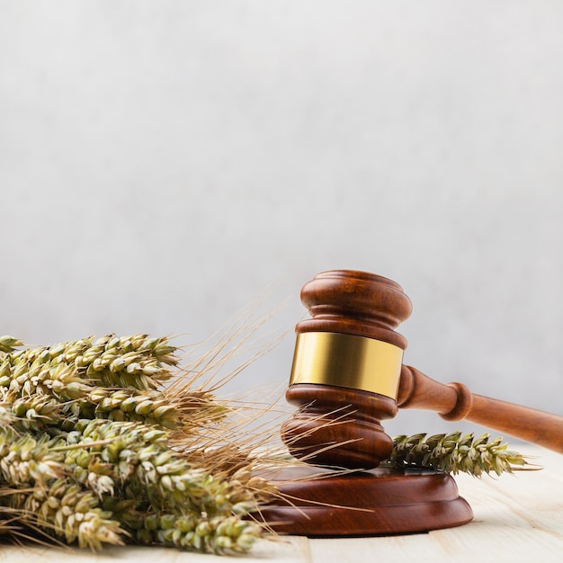 Photo judgment hammer ears of wheat and barley on the table with copy space at the top of the frame