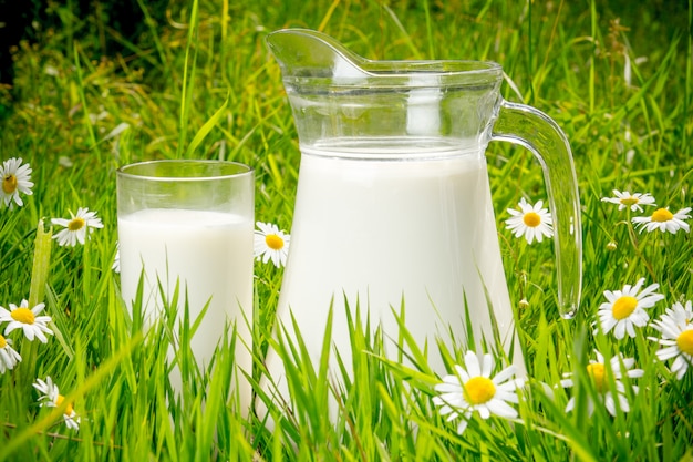 Jug and glass of milk over green grass