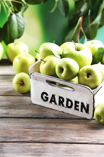 Juicy apples in garden box closeup