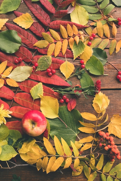 Juicy autumn harvest and leaves on the wood surface. fall.