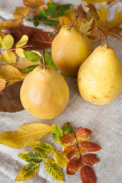 Juicy flavorful pears with leaves