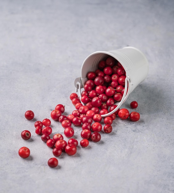 Juicy forest lingonberry in a bucket scattered on light textured background Fresh red cowberry Healthy food concept