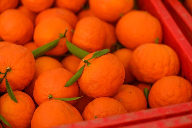 juicy fresh tangerines in boxes for sale in Cyprus in winter 22