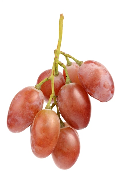 Juicy Grapes close up detail isolated