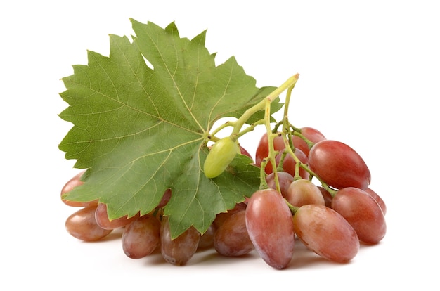 Juicy Grapes isolated on white