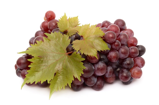 Juicy Grapes on white surface